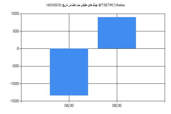 پول هوشمند حقیقی غشاذر